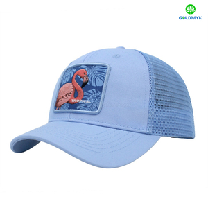 OEM Customized Wholesale Fitted Baseball Caps Dad Hats Custom Embroidery Logo Adult Golf Cap