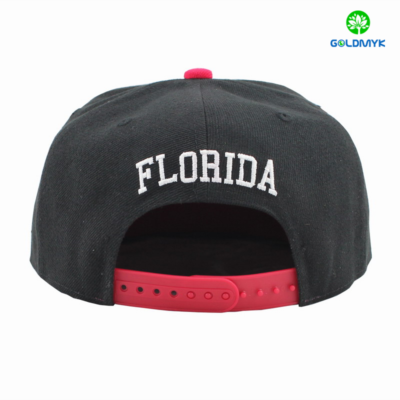 Printing 3D embroidery snapback cap 