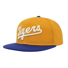 Custom 100% Cotton Fabric Flat Bill Snapback Cap And Hat with 3D Embroidery Logo