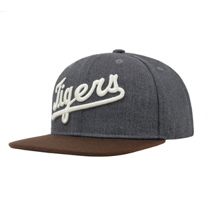 Custom Polyester Fabric Grey Flex Fit Style Custom Solid Color Logo 3D Emboridery Snapback Cap Hat Can Custom Embroidery Of Women And Men