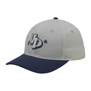 Customized Logo Dad Hat 6 Panel Baseball Cap Sports Hat for Men and Women