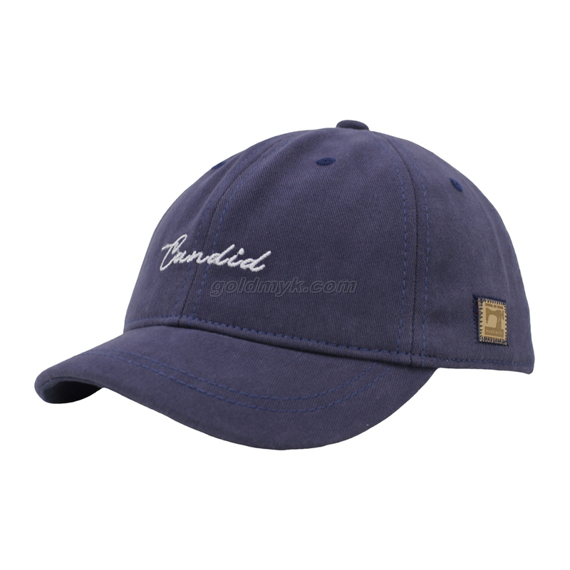 Customized Logo Dad Hat 6 Panel Baseball Cap Sports Hat for Men and Women