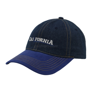 Customized Logo Dad Hat 6 Panel Baseball Cap Sports Hat for Men and Women