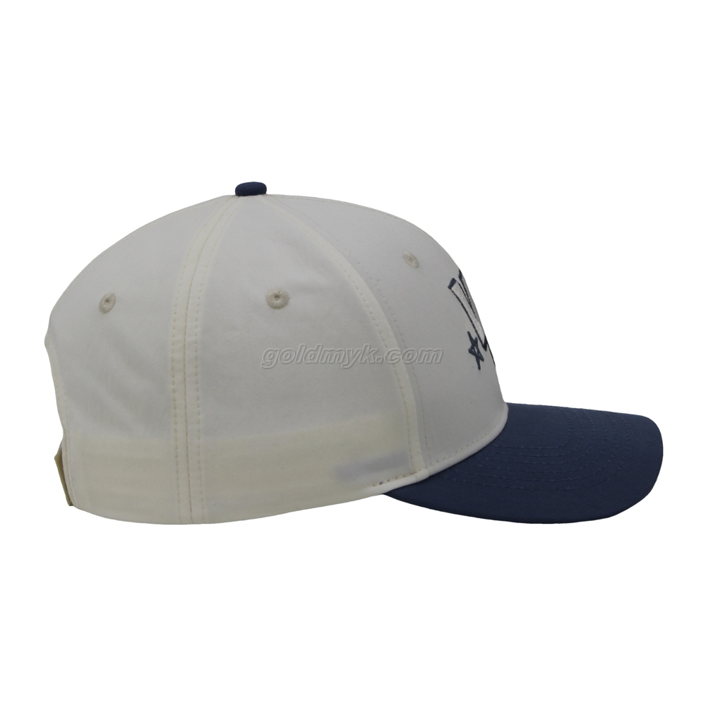 Customized Logo Dad Hat 6 Panel Baseball Cap Sports Hat for Men and Women