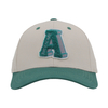 Custom Logo Dad Hat With 3D Emboridery Logo 6 Panel Baseball Cap Sports Hat for Men And Women