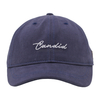 Customized Logo Dad Hat 6 Panel Baseball Cap Sports Hat for Men and Women