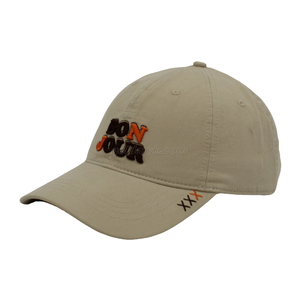 Hot Sale And Wholesale Custom Cotton Baseball Cap And Hat with 3D Embroidery