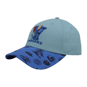 Customized Logo Dad Hat 6 Panel Baseball Cap Sports Hat for Men and Women