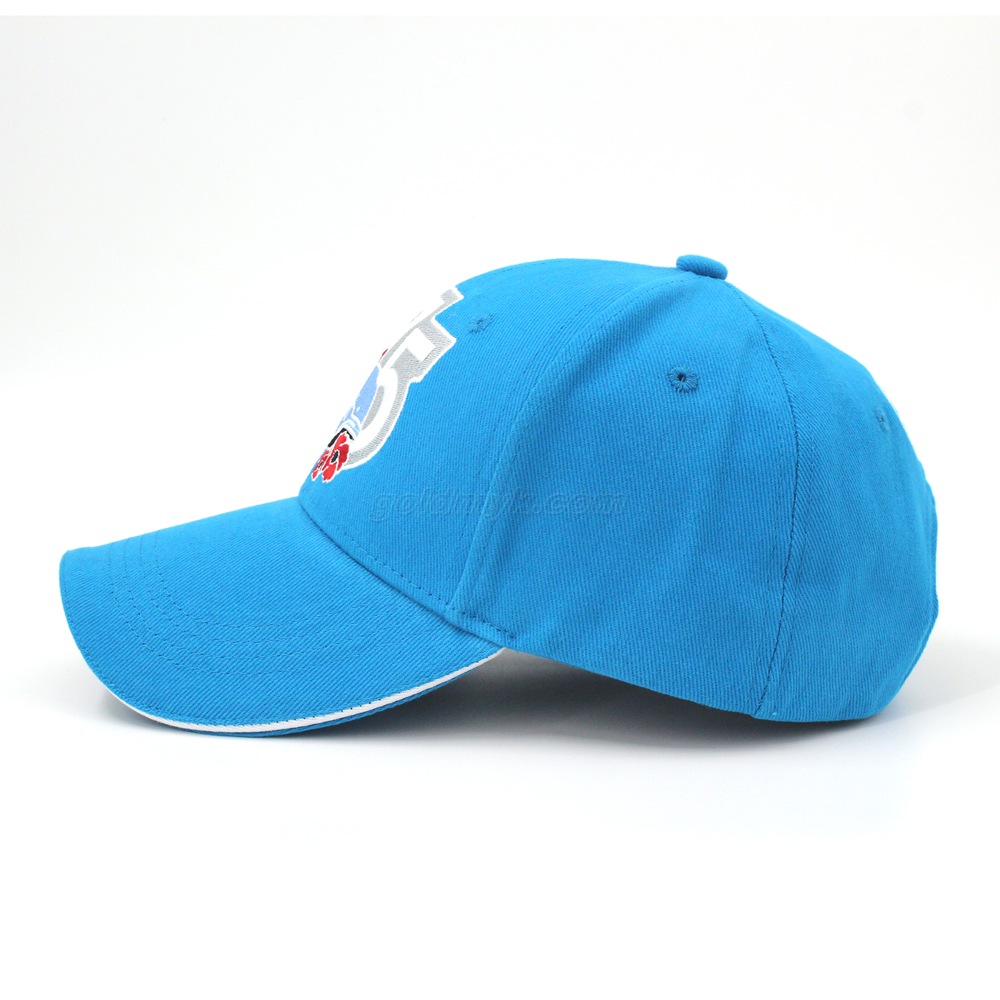 Fashion Design Hot Sale Heavy Brushed Cotton 6 Panels Structured Custom Baseball Cap with Flat Embroidery And Sandwich
