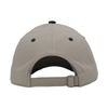 Custom Logo Dad Hat With 3D Emboridery Logo 6 Panel Baseball Cap Sports Hat for Men And Women